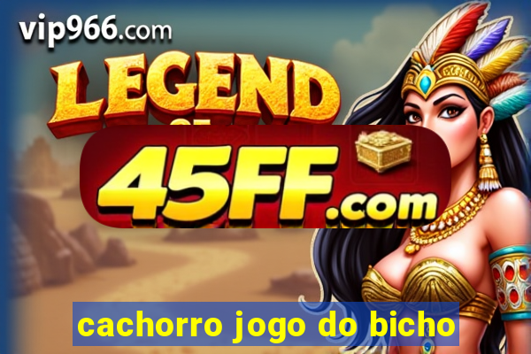 cachorro jogo do bicho